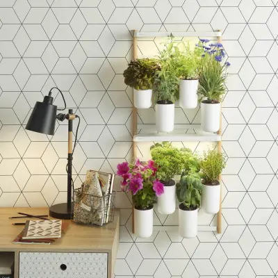 Les bienfaits des plantes d'intérieur