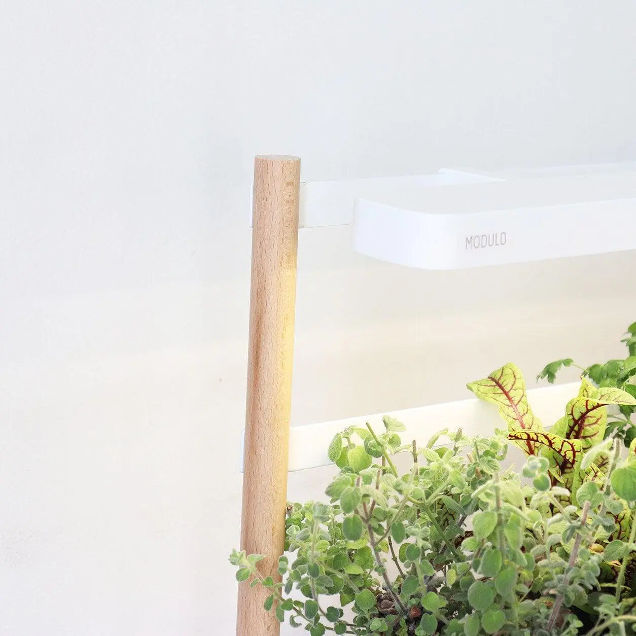 Modulo-jardiniere-pret-a-pousser-decoration-mur-vegetal-luminaire