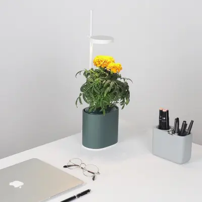 (Pour Amazon) Potager Nano Garden Vert Forêt Potagers Prêt à Pousser Potager d'intérieur