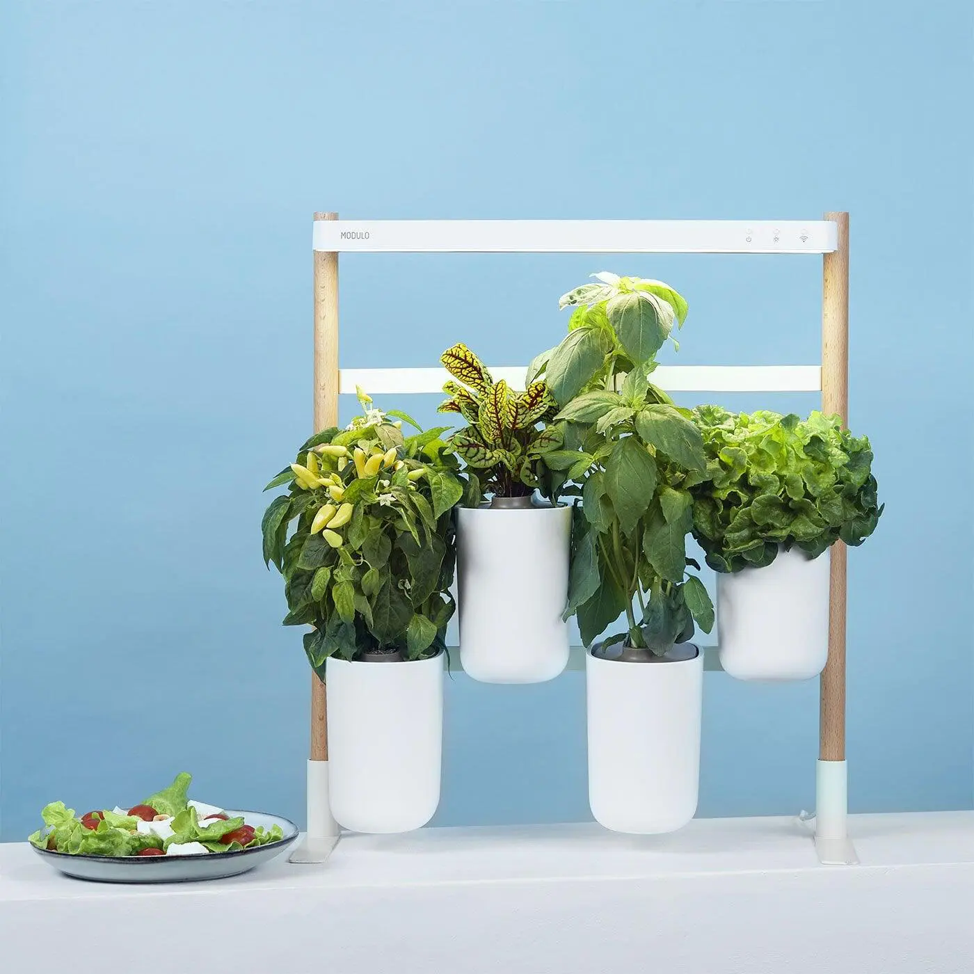 Modulo-gardening-pret-a-pousser-decoration-wall-vegetal-luminaire-5