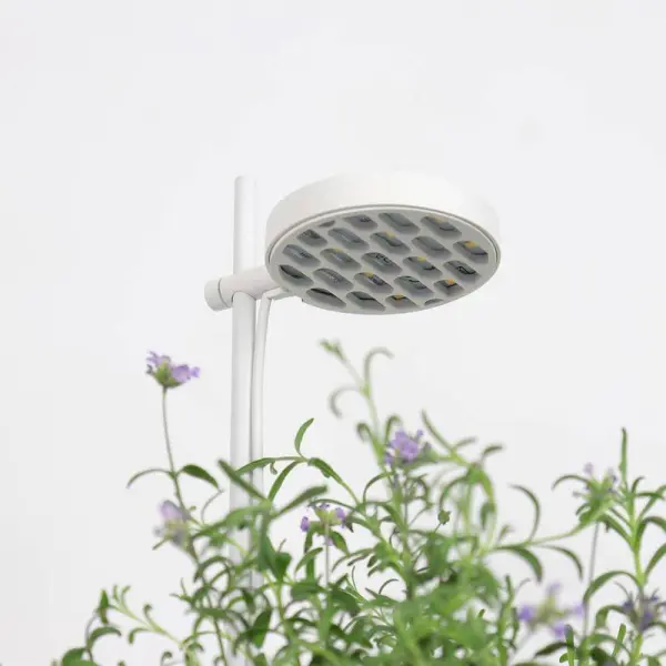 Luminaire Nano Garden Accessoires Prêt à Pousser Potager d'intérieur