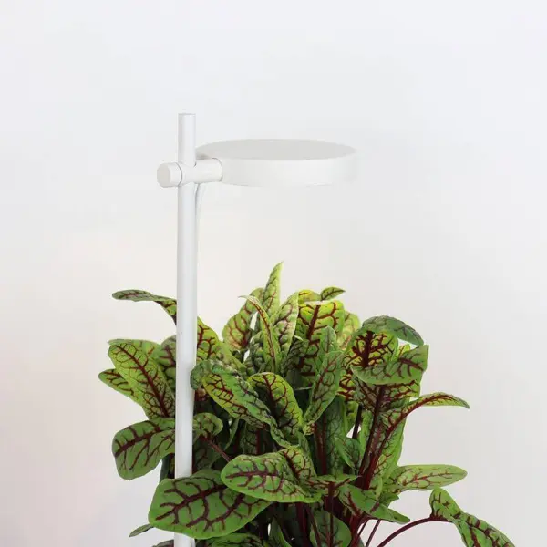 Luminaire Nano Garden Accessoires Prêt à Pousser Potager d'intérieur