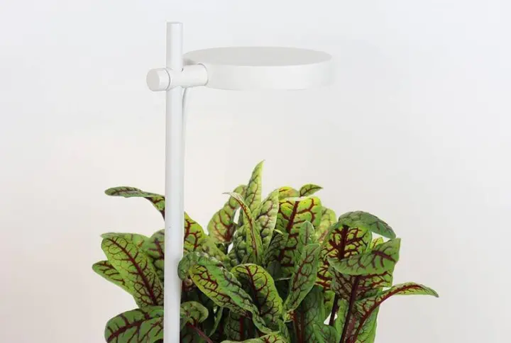 Luminaire Nano Garden Accessoires Prêt à Pousser Potager d'intérieur