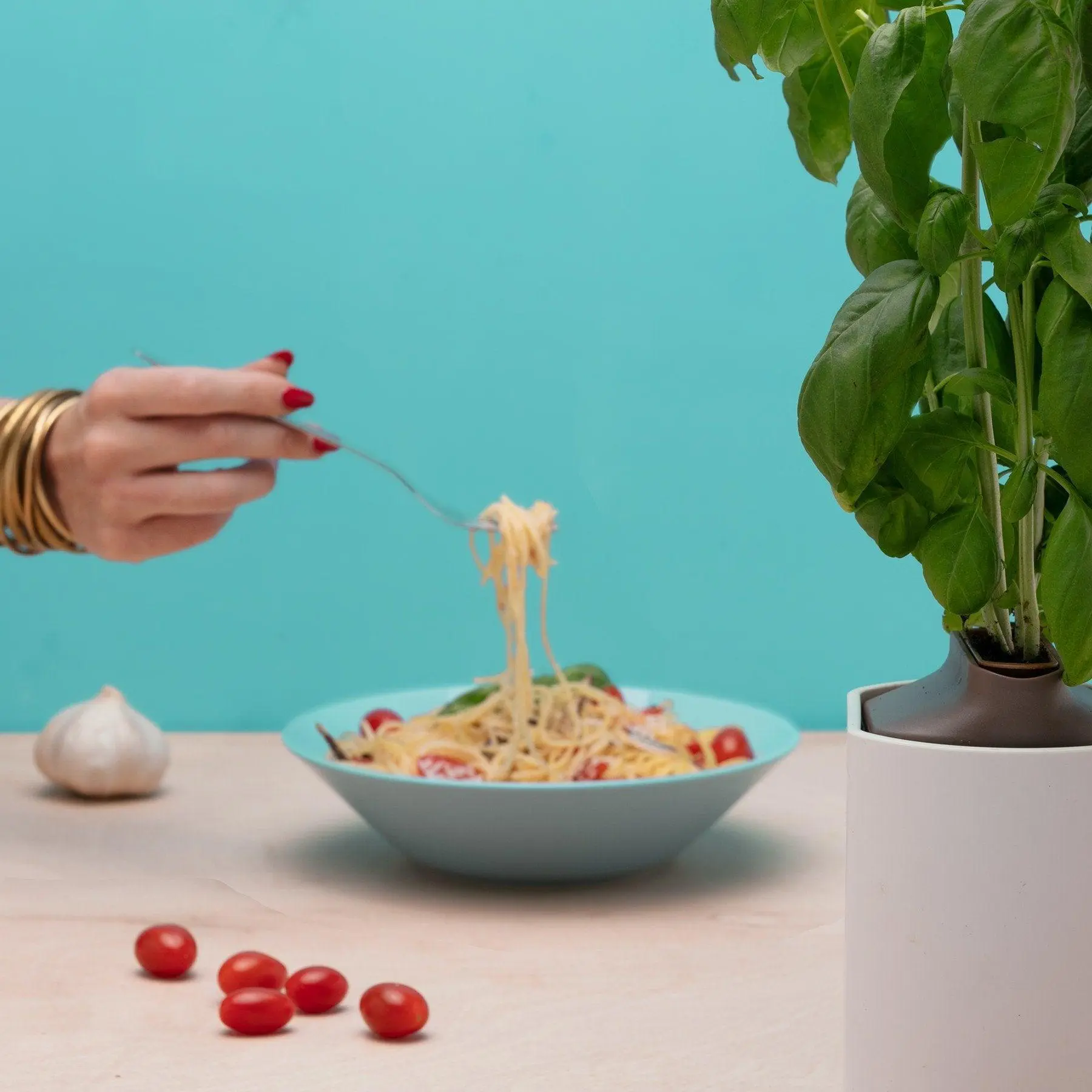 Basilic Capsules Prêt à Pousser Potager d’intérieur