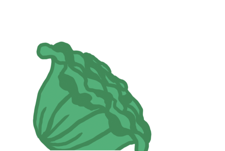 Feuille de Chêne Capsules Prêt à Pousser Potager d'intérieur