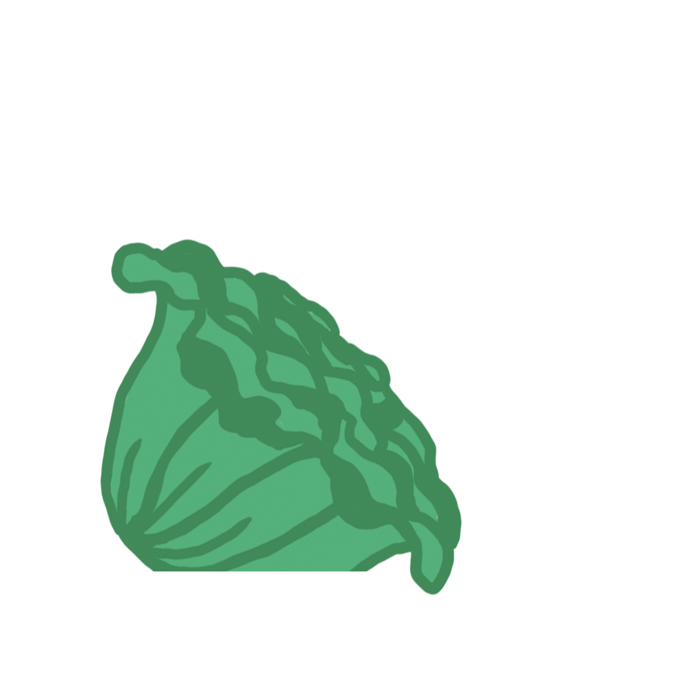 Feuille de Chêne Capsules Prêt à Pousser Potager d’intérieur