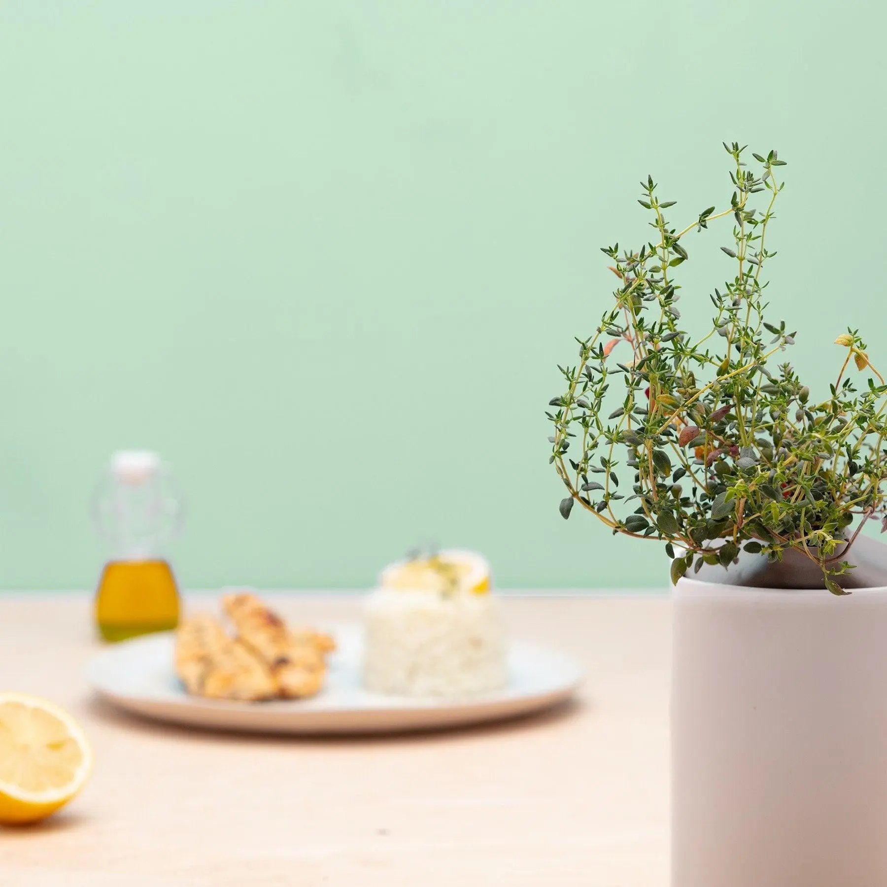 Thym Capsules Prêt à Pousser Potager d’intérieur