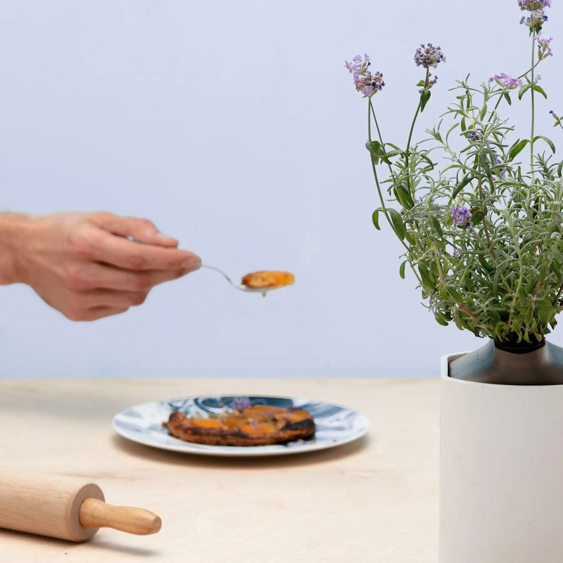 Lavande Capsules Prêt à Pousser Potager d’intérieur
