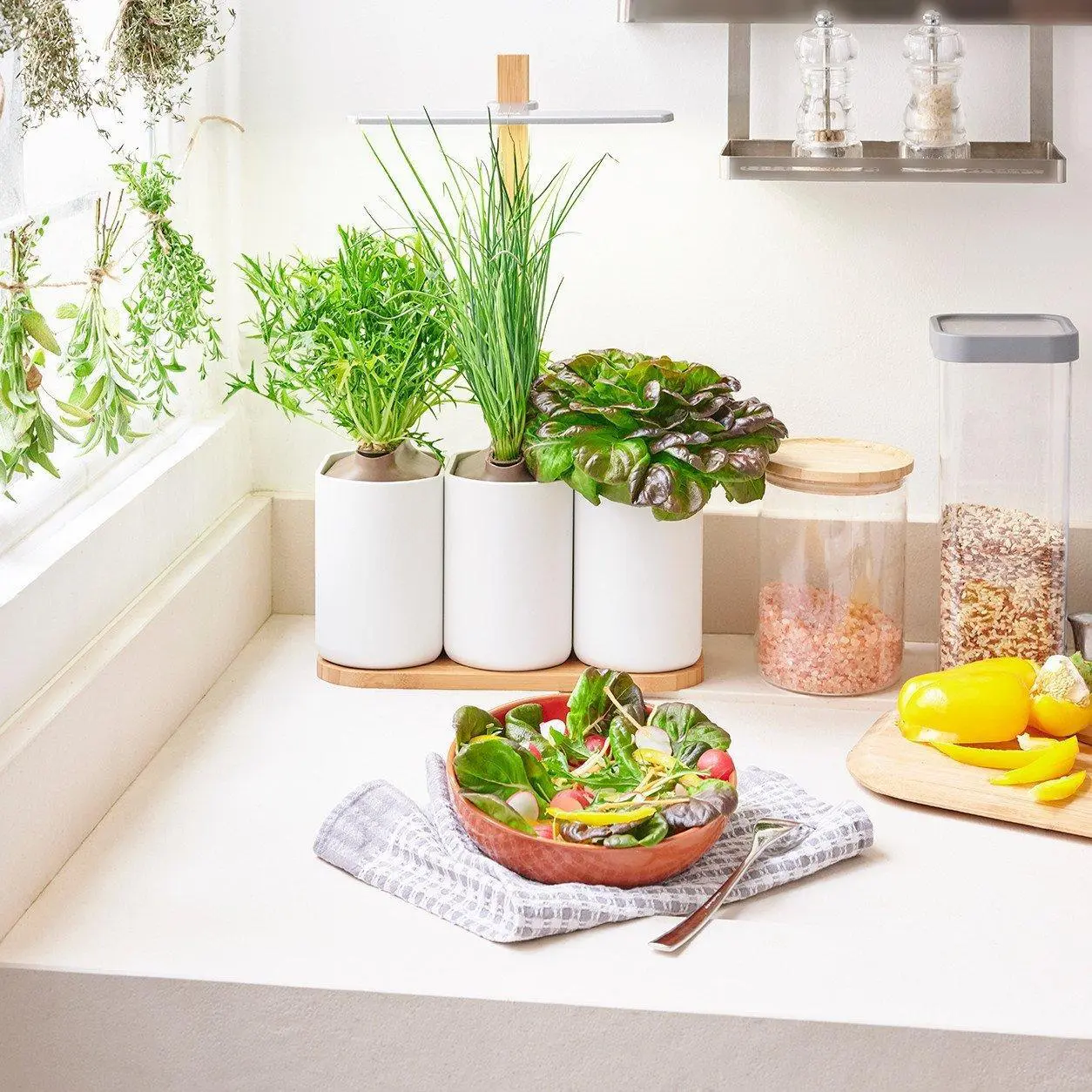 Lilo Potagers Prêt à Pousser Potager d’intérieur