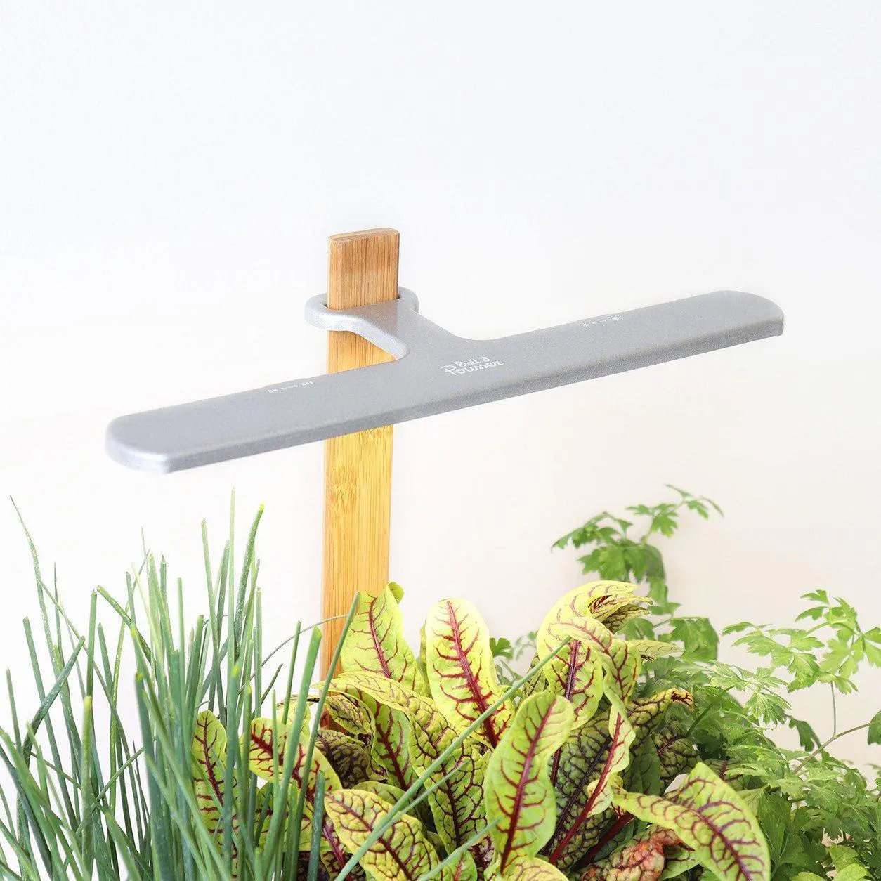 Lilo Potagers Prêt à Pousser Potager d’intérieur