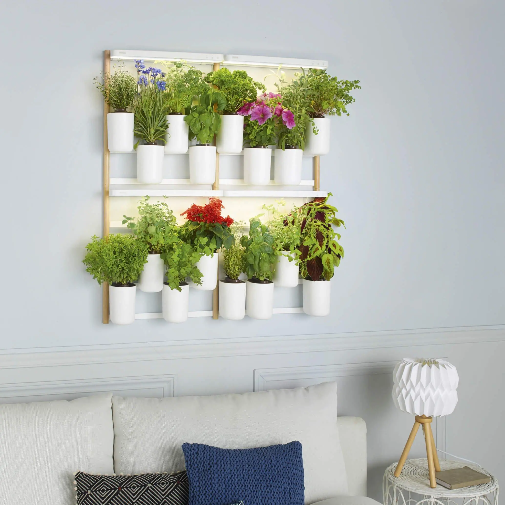 Modulo x4 indoor plant wall Prêt à Pousser plant decoration