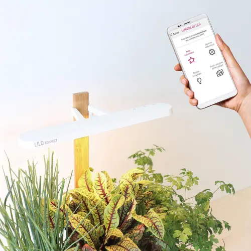 Luminaire Lilo Connect Accessoires Prêt à Pousser Potager d'intérieur