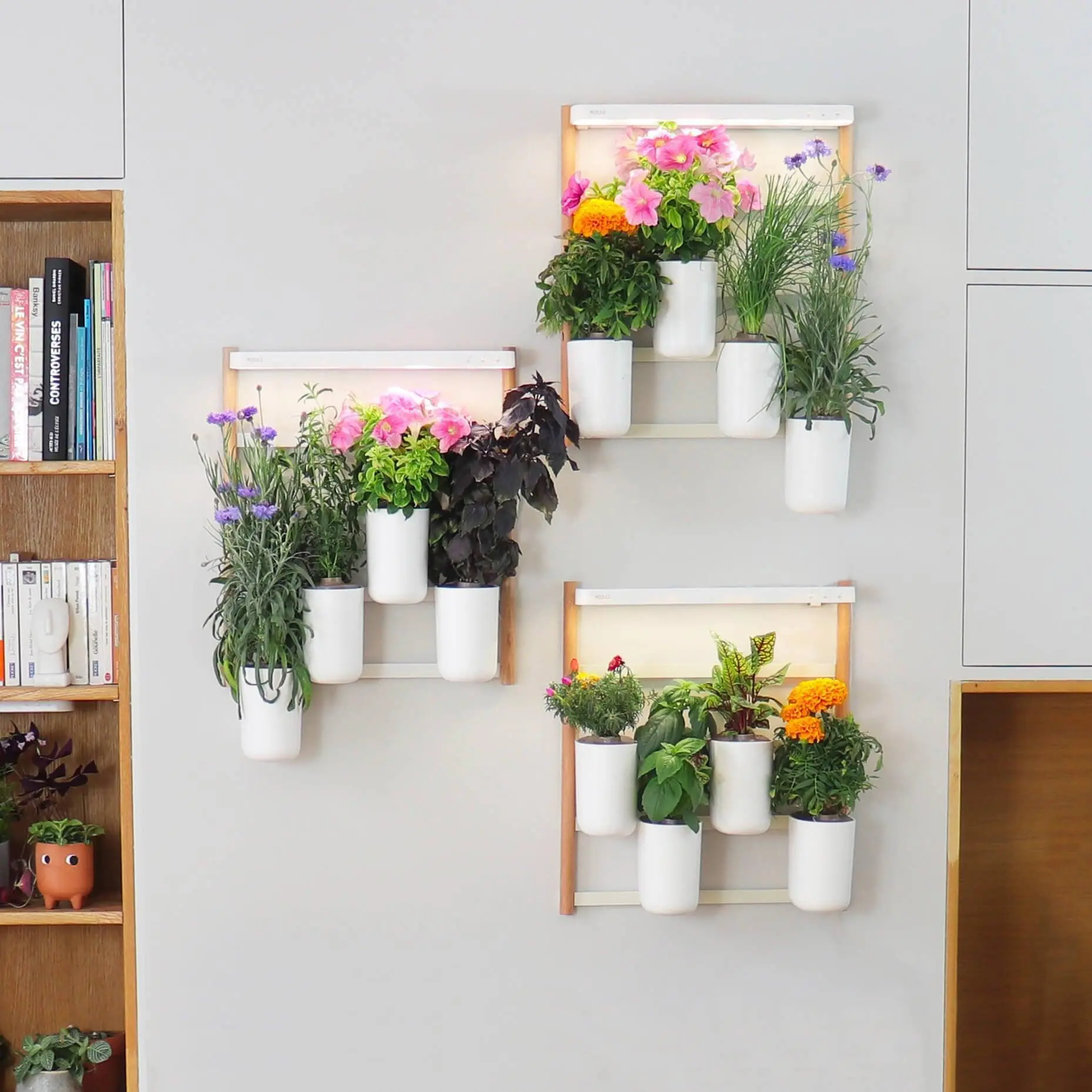 Modulo x3 Potagers Prêt à Pousser Potager d’intérieur