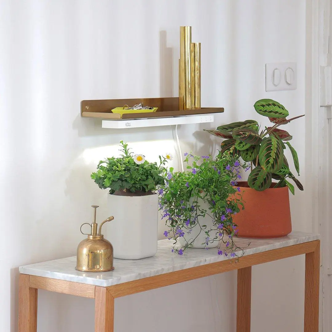 Helyo Light Potagers Prêt à Pousser Potager d’intérieur
