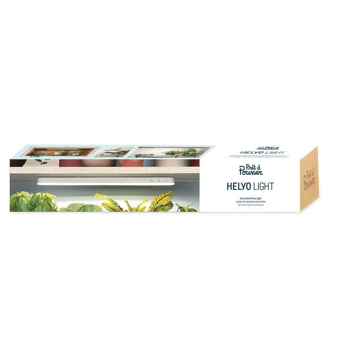 Helyo Light Potagers Prêt à Pousser Potager d’intérieur