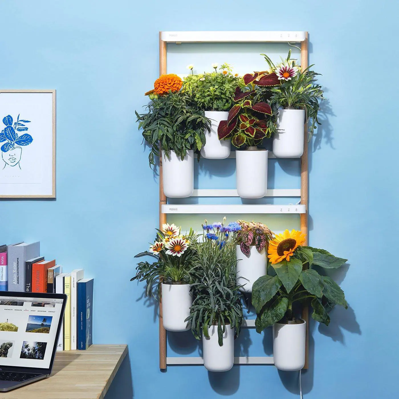 Modulo x2 Potagers Prêt à Pousser Potager d’intérieur