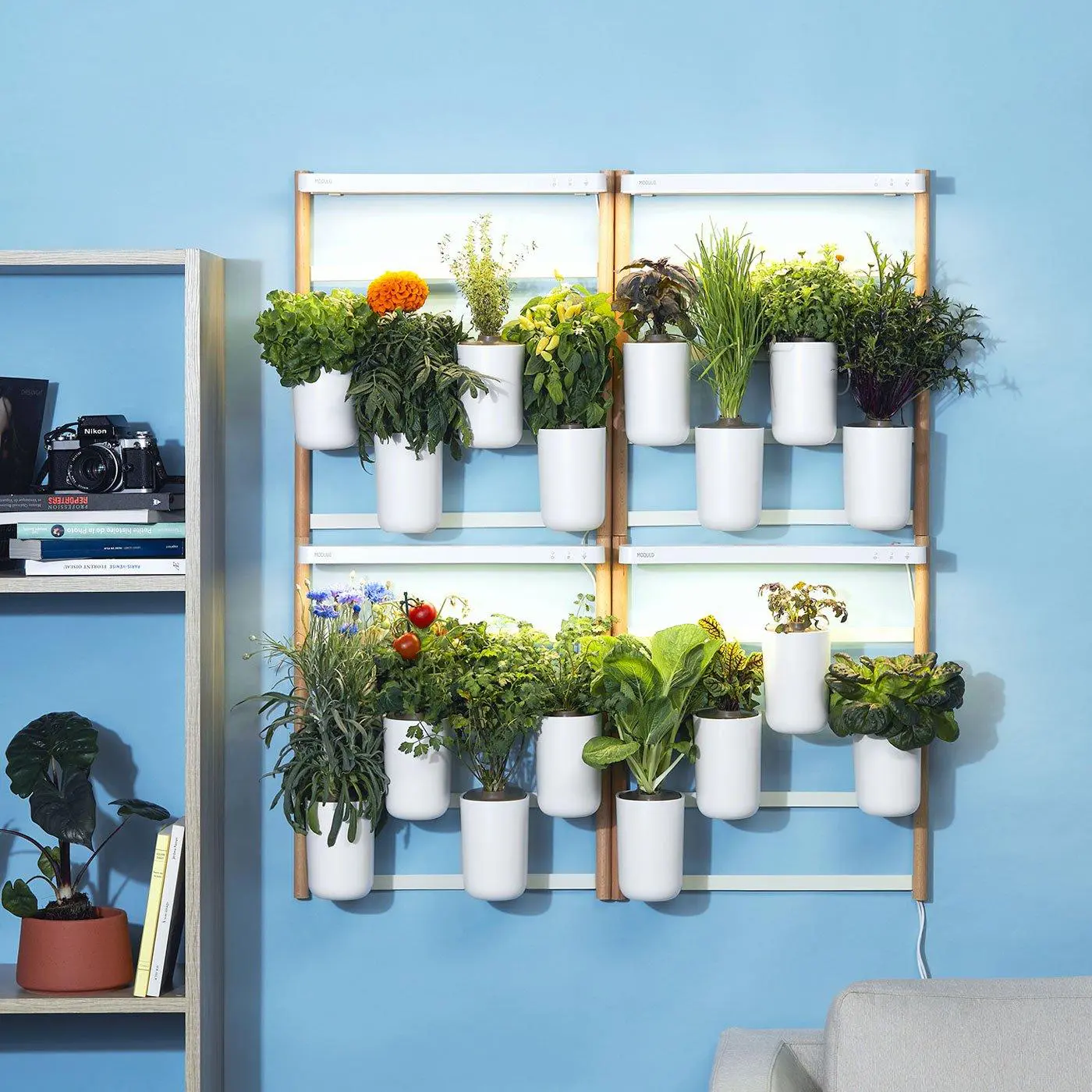 Modulo x4 Ready-to-Grow Indoor Vegetable Garden