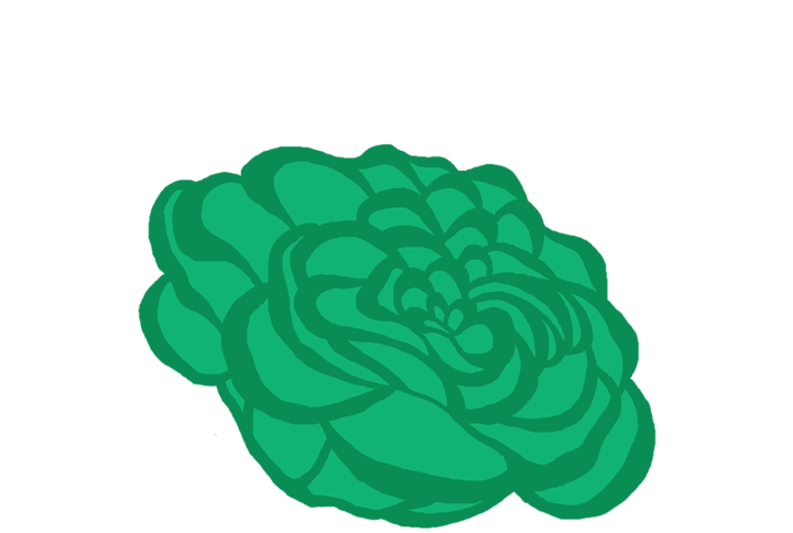 Salanova® Verte Capsules Prêt à Pousser Potager d'intérieur